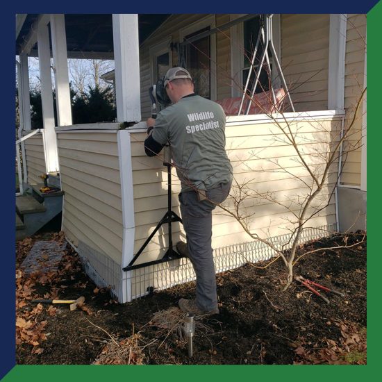 content2.2502201411297